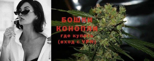 дурь Гусь-Хрустальный