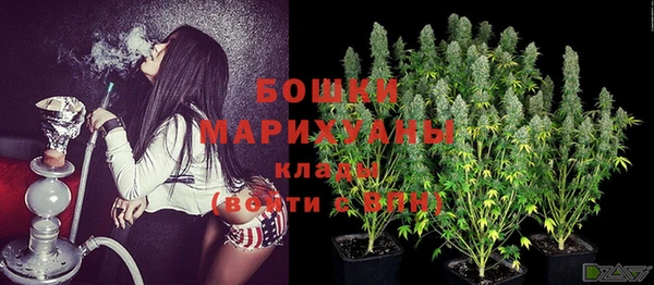 spice Гусев