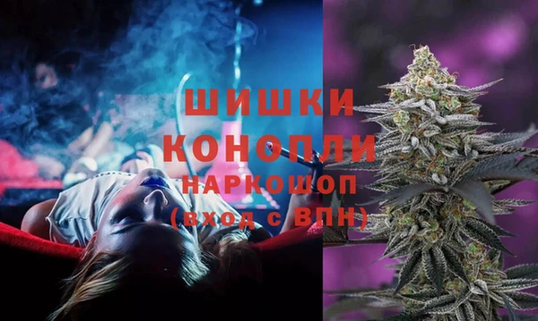 spice Гусев
