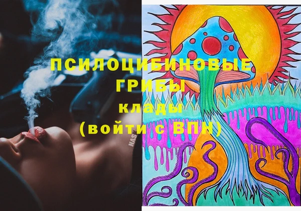 spice Гусев
