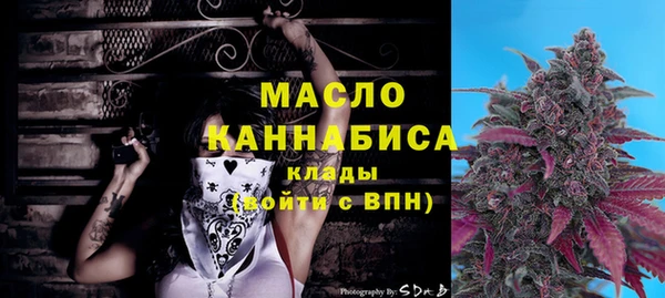 spice Гусев