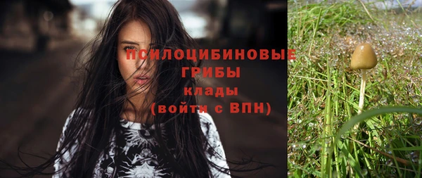 spice Гусев