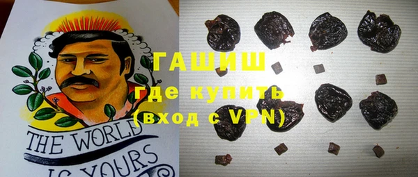 spice Гусев
