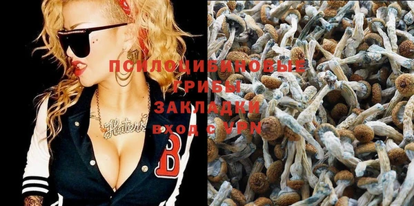 spice Гусев