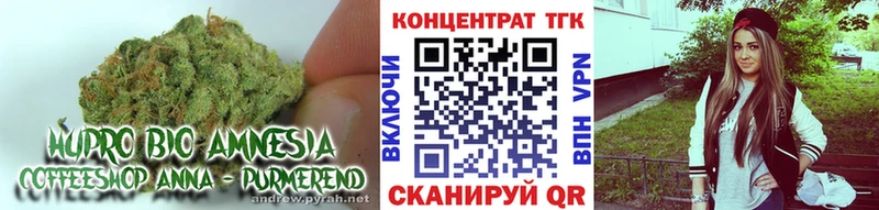 MEGA онион  Нефтекумск  Дистиллят ТГК жижа  где купить наркоту 